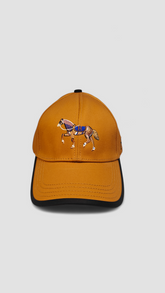 Hermes Cap